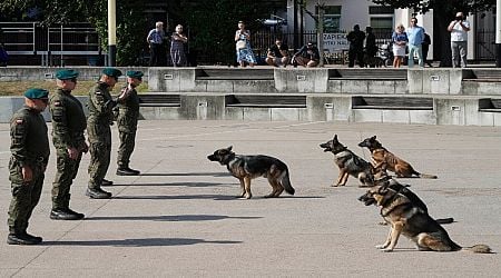 Poland celebrates canine valour, bestows army ranks on four military dogs