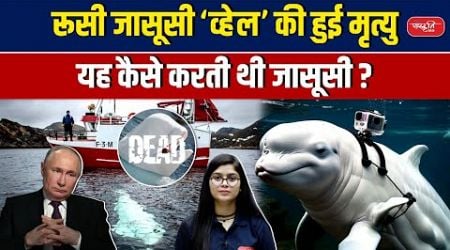 Russian Spy Whale &#39;Hvaldimir&#39; found dead in Norway | Beluga whale | Sanskriti IAS | UPSC