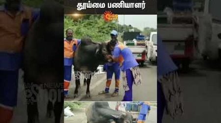 Sanitation Worker | Bull | Animal Love | Mother Love | Sun News