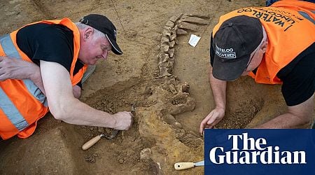 Battle of Waterloo dig uncovers horror of severed limbs and shot horses