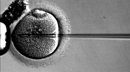 Gene therapy improves vision in patients with Bothnia dystrophy