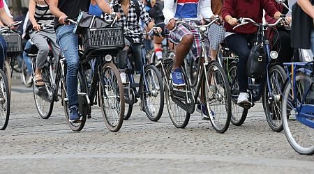 Fatbikes are making Amsterdam traffic more unsafe: survey