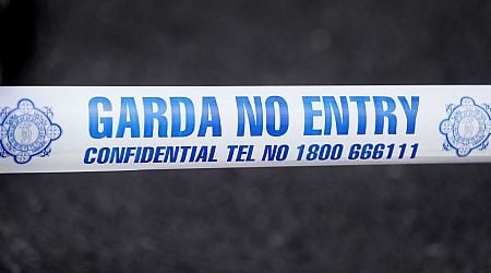 Armed gardai arrest man after morning standoff in Dublin 