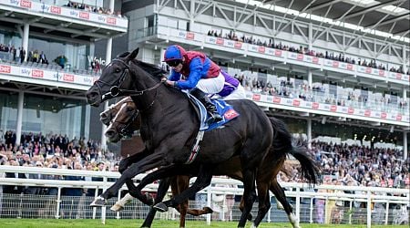 Irish Champion Stakes 2024 trends