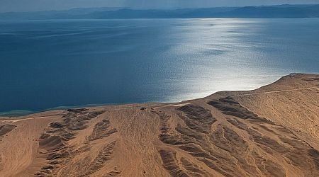 Saudi Arabia's Neom project devolved into a wrestling match between bosses, report says