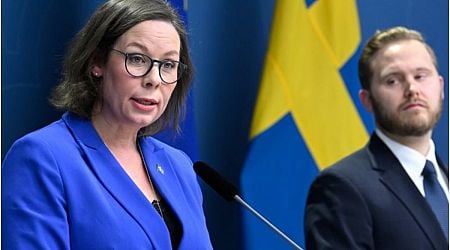 Sweden proposes up to $34,000 incentive for immigrants to go back