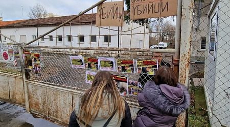 Stray Rights Activists Meet Sofia Mayor, Demand Improved Conditions at Municipal Dog Shelter