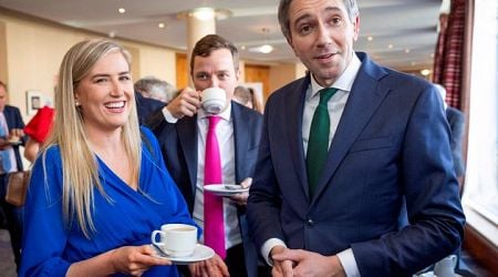 Taoiseach Simon Harris outlines goal to improve ties with Northern Ireland as ministerial council meets in Dublin