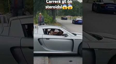 #porsche#carreragt#carrera#porschecarrera#hypercar#sportscar#car#exoticcars#sweden