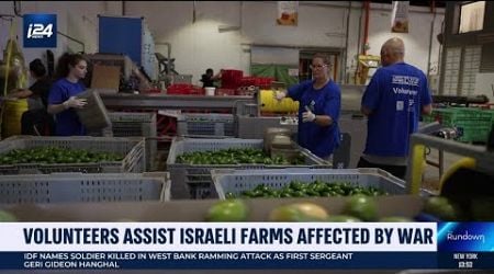 Volunteers help Israeli farms affected by multi-front war