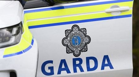 Man (50) loses two fingers and suffers other horror injuries in machete attack