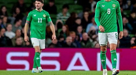 Malachy Clerkin: Boos for man of the match sum up perfectly those silly Irish soccer fictions 