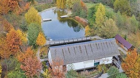 Dive into nature: Walk through a glass tunnel beneath the pond near Slovakia