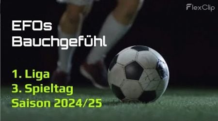 Bundesligaprognose 3. Spieltag Saison 2024/25 - Netzer-Woche