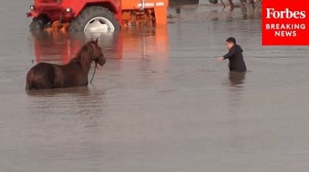 Flooding Continues In Romania, Poland And Austria Following Heavy Rainfall