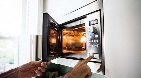 We Asked an Expert If Bacteria Actually Survives in Your Microwave