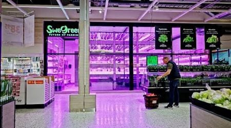 Meet SweGreen: This Swedish vertical farm start-up grows vegetables inside of supermarkets