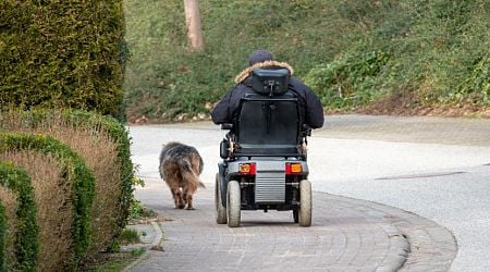 UN criticizes Netherlands about disability accessibility