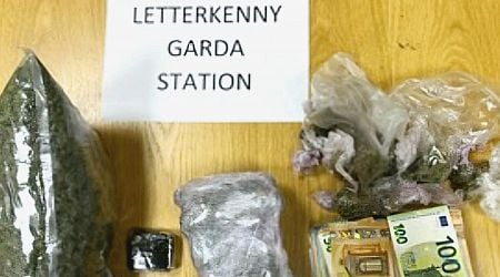 Large cannabis find in Letterkenny area