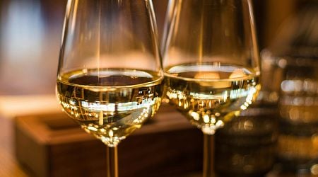 Tokaj Wines Triumph at Prestigious International Competition