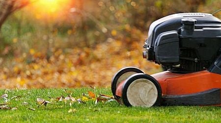 How to get a lush lawn by next summer: Essential 60-minute task you need to do in September