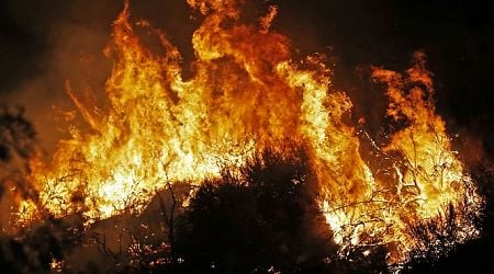 2 dead as wildfires sweep Portugal's Aveiro district