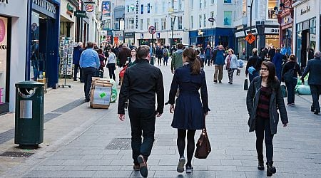 Four out of 10 Irish workers likely to move jobs within a year, study finds