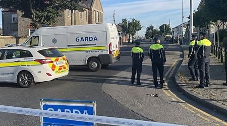 Second teen arrested over Dublin hit-and-run which killed pedestrian Michael Farrelly (40)