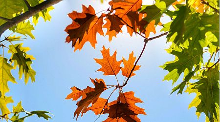 Summer temperatures on Thursday