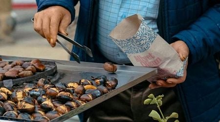 The biggest Croatian chestnut festival set to take place