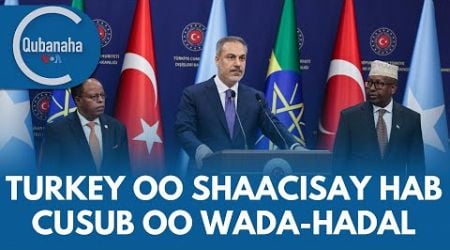 Turkey oo hab cusub u wajaheysa wada-hadallada Soomaaliya iyo Itoobiya | Qubanaha VOA