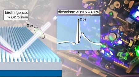 Study: Giant ultrafast dichroism and birefringence with active nonlocal metasurfaces