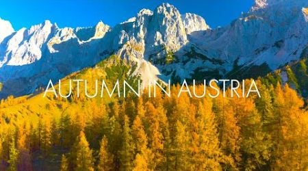 Autumn Austria Scenery Morning sunrise, Beautiful Relaxing Hymns, Peaceful Music, by Tim Janis