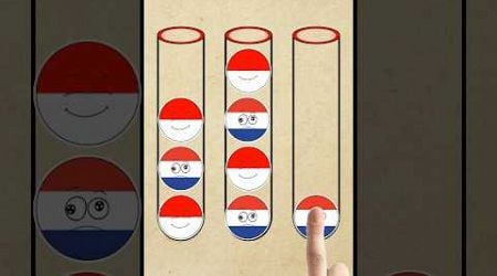 COUNTRY PUZZLE GAME #countryballs #indonesia #netherlands