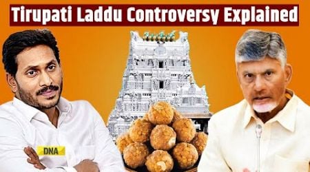 Tirupati Laddu Row: What Is The Story Behind Tirupati Laddu? Animal Fat In Tirupati Laddu? Explained