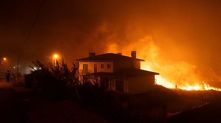 'Never seen this': Portuguese village battered by wildfire