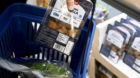 Food prices to fall modestly in Finland in 2024, says PTT