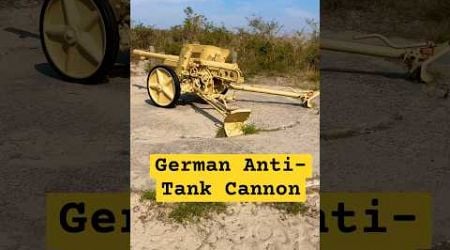 No.11-Bunker Tour- German Anti-Tank Cannon in the Netherlands #cannon#history #ww2#military #shorts