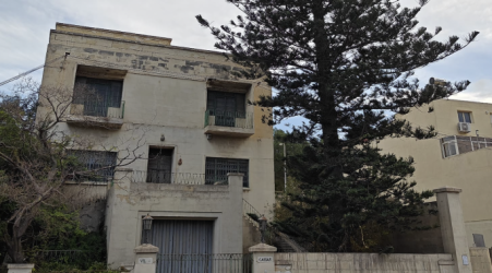  Monumental tree in Valley Road faces the chop 