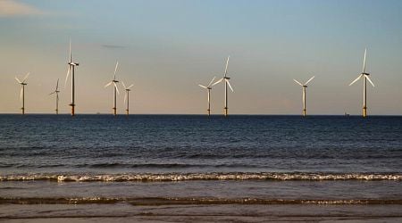 More than half of Dutch energy from renewable sources for first time