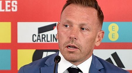 Wales must just 'deal with' Montenegro pitch switch - Bellamy