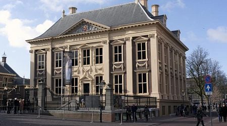 Heirs demand that Mauritshuis return art historian's collection