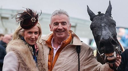 Ryanair boss Michael O'Leary blasts "insane" changes made to Cheltenham Festival