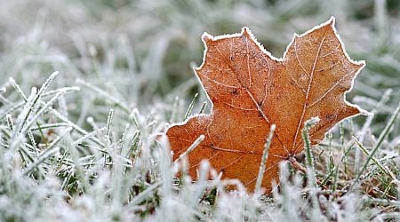 Ireland weather: Overnight frost expected as temperatures to plummet