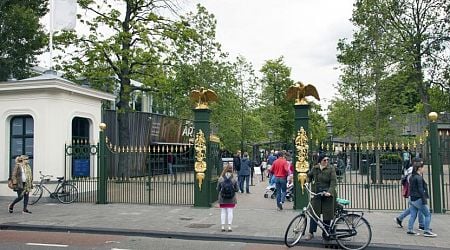 Outrage after Amsterdam city councilor compares Artis animals to colonial human zoos