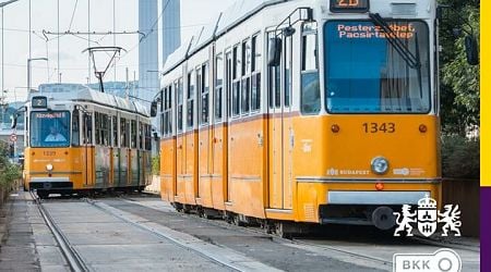 Spectacular Budapest tram line resumes but some popular parks and a beach remain closed