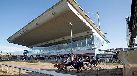 All eyes on Curraheen Park as Bar One Racing Irish Laurels semi-finals take place