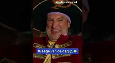 Een weetje van Piet Piraat op Wereldzeedag! #pietpiraatwonderwaterwereld #ketnet #vrtmax