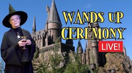 Live! From Hogwarts, Wands Up Ceremony For Professor Mcgonagall