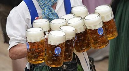 Brewing a cold beer on a warming planet is hard. Germany uses education to fight climate change